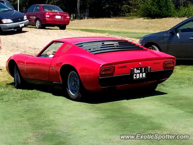 Lamborghini Miura spotted in Carmel Valley, California