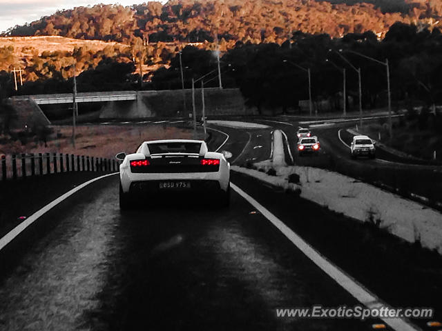 Lamborghini Gallardo spotted in Sydney, Australia