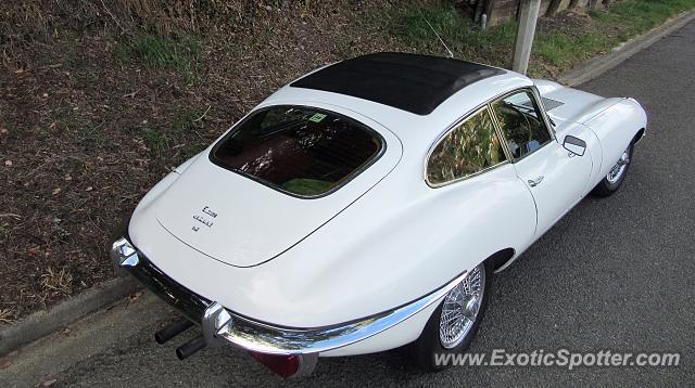 Jaguar E-Type spotted in Christchurch, New Zealand