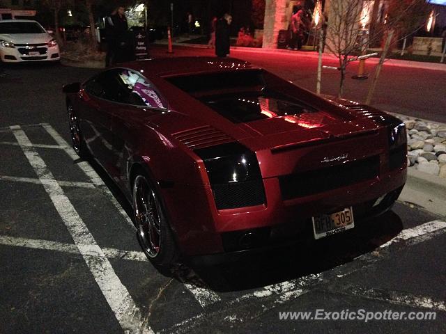 Lamborghini Gallardo spotted in Centennial, Colorado