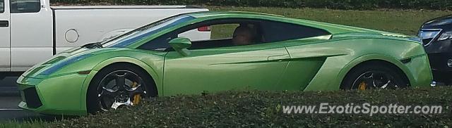 Lamborghini Gallardo spotted in Orlando, Florida