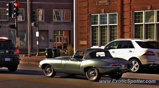 Jaguar E-Type spotted in Winnetka, Illinois