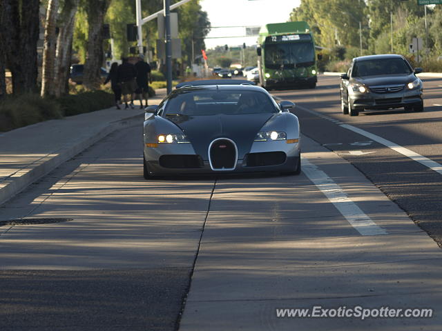 Bugatti Veyron spotted in Scottsdale, Arizona