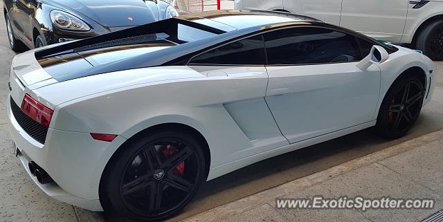 Lamborghini Gallardo spotted in Houston, Texas
