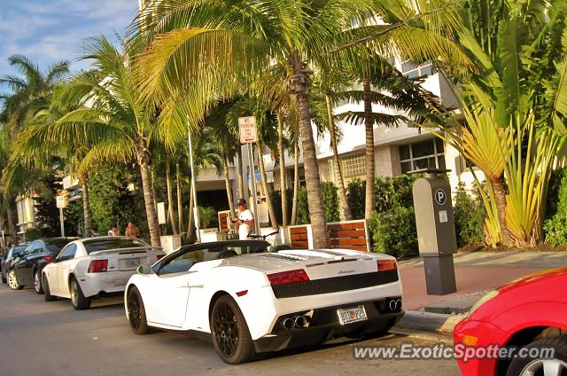 Lamborghini Gallardo spotted in Miami, Florida