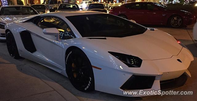 Lamborghini Aventador spotted in Fort Lauderdale, Florida