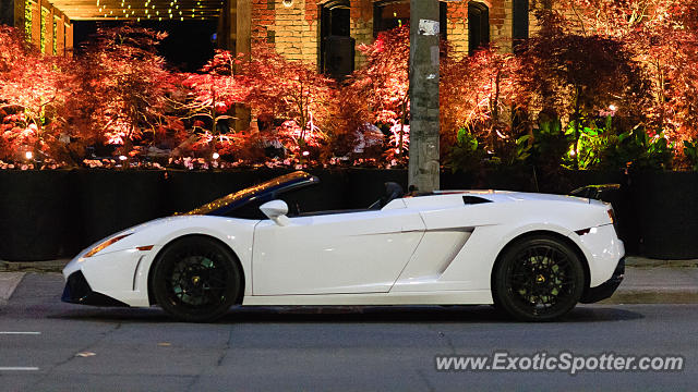 Lamborghini Gallardo spotted in Toronto, On, Canada