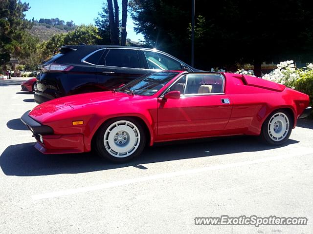 Lamborghini Jalpa spotted in Monterey, California