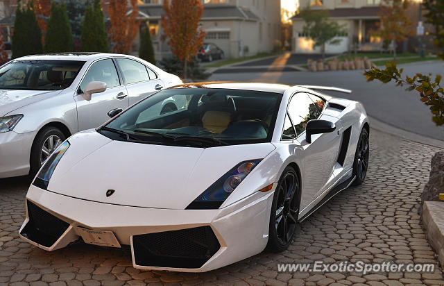 Lamborghini Gallardo spotted in Toronto, Canada