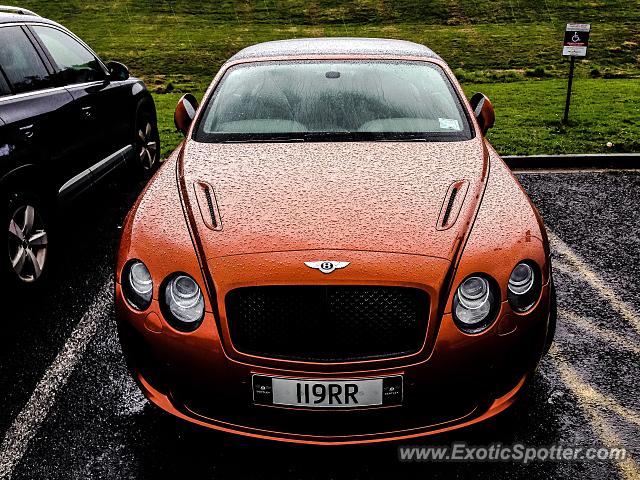 Bentley Continental spotted in Silverdale, New Zealand