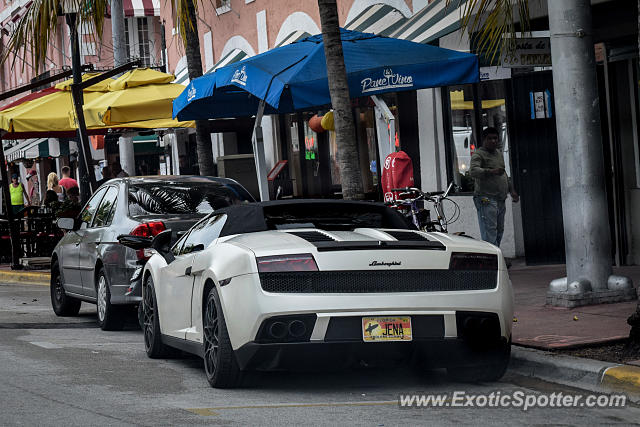 Lamborghini Gallardo spotted in Miami Beach, Florida