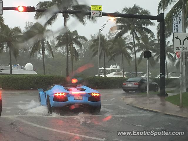 Lamborghini Aventador spotted in Miami Beach, Florida