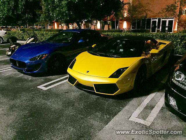Lamborghini Gallardo spotted in Miami, Florida