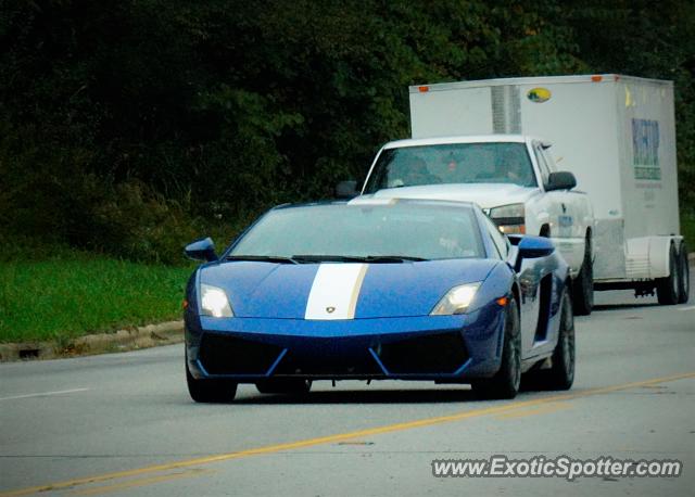 Lamborghini Gallardo spotted in Asheville, North Carolina