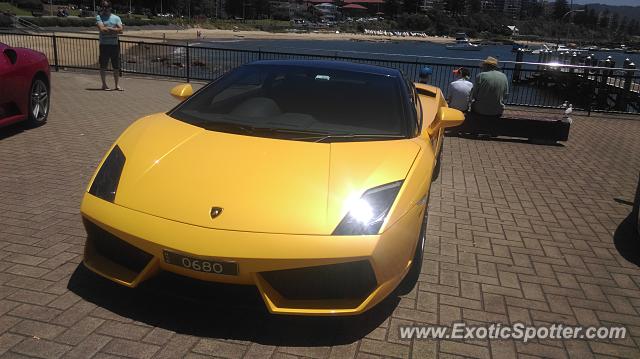 Lamborghini Gallardo spotted in Woolongong, NSW, Australia