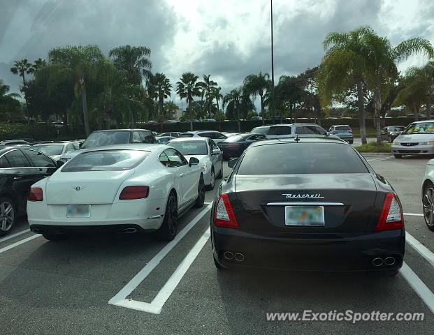 Bentley Continental spotted in Palm B. Gardens, Florida