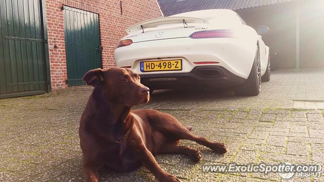 Mercedes AMG GT spotted in Zelhem, Netherlands