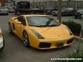 Lamborghini Gallardo