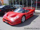 Ferrari F50