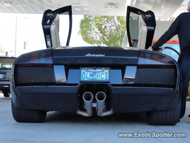 Lamborghini Murcielago spotted in Orinda, California