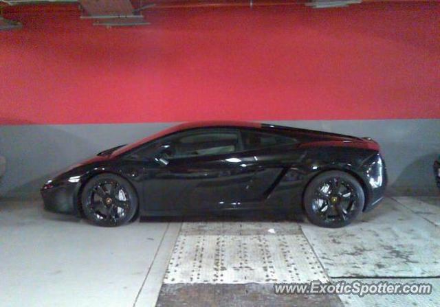 Lamborghini Gallardo spotted in Beirut, Lebanon