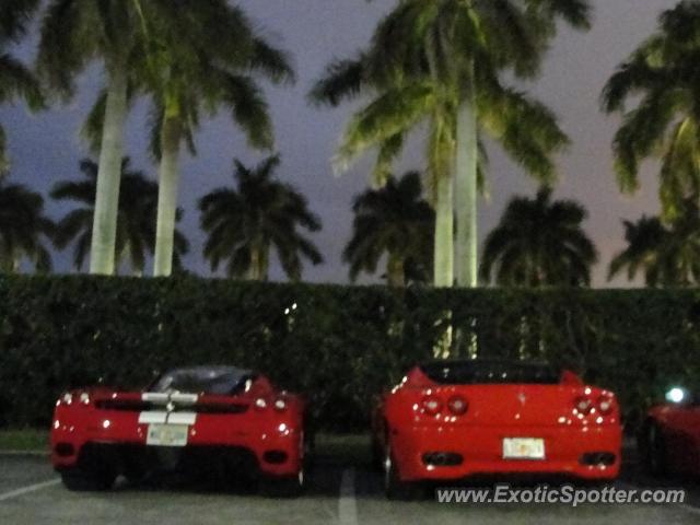 Ferrari Enzo spotted in Palm beach, Florida