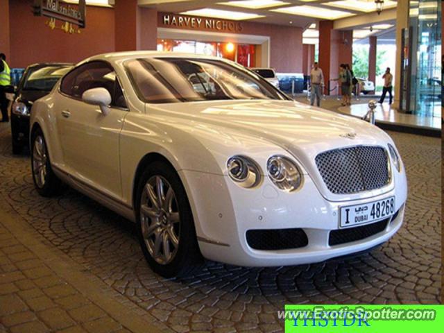Bentley Continental spotted in Dubai, United Arab Emirates