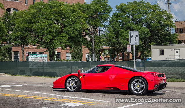 Ferrari Enzo spotted in Birmingham, Michigan
