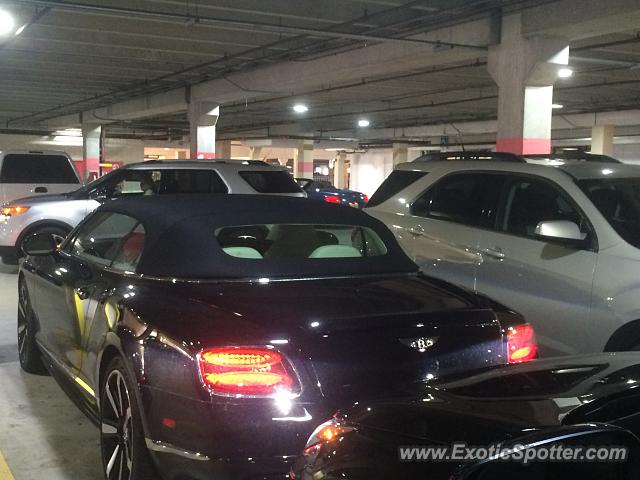 Bentley Continental spotted in Fort Lauderdale, Florida
