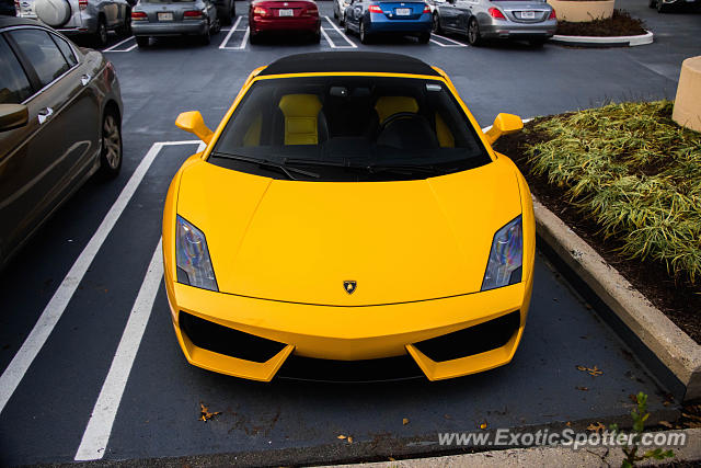 Lamborghini Gallardo spotted in McLean, Virginia
