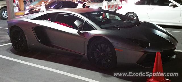 Lamborghini Aventador spotted in Orlando, Florida