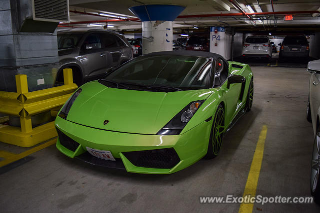 Lamborghini Gallardo spotted in Boston, Massachusetts