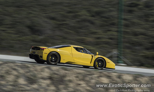 Ferrari Enzo spotted in Carmel, California