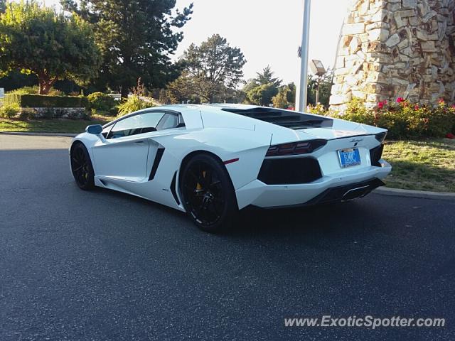 Lamborghini Aventador spotted in Monterey, California