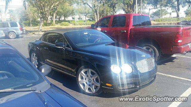 Bentley Continental spotted in Brandon, Florida