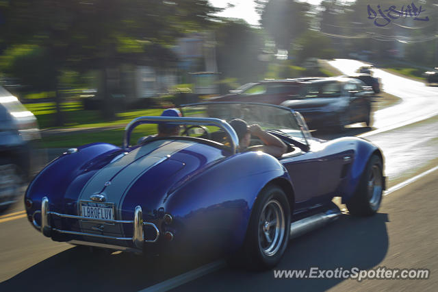 Shelby Cobra spotted in Sodus Point, New York