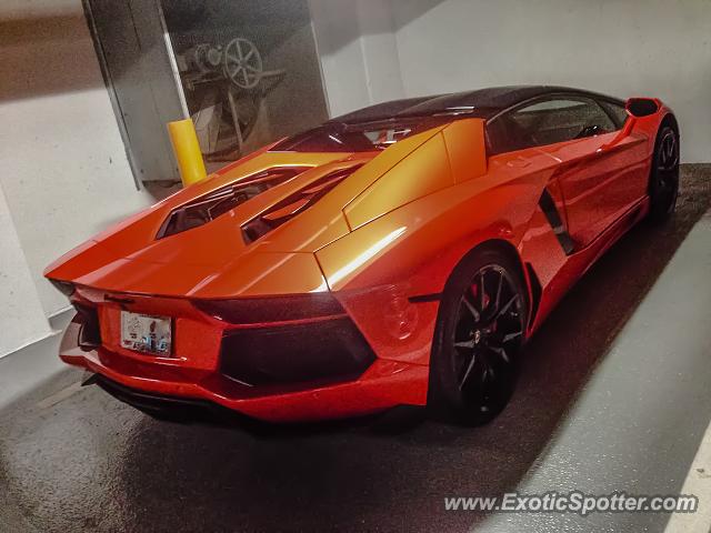 Lamborghini Aventador spotted in Vienna, Virginia