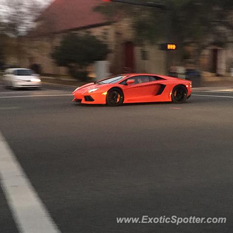 Lamborghini Aventador spotted in Gainesville, United States