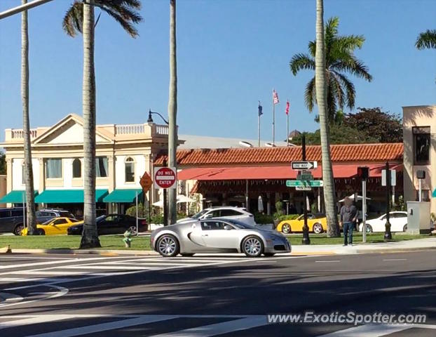 Bugatti Veyron spotted in Palm Beach, Florida