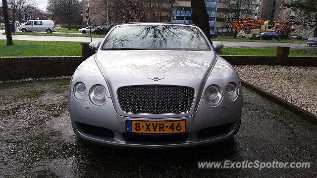 Bentley Continental spotted in Haarlem, Netherlands