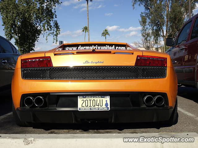 Lamborghini Gallardo spotted in Scottsdale, Arizona