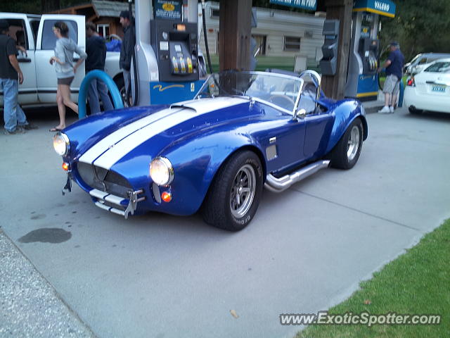 Shelby Cobra spotted in Big sur, California