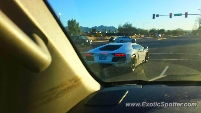 Lamborghini Aventador spotted in Scottsdale, Arizona