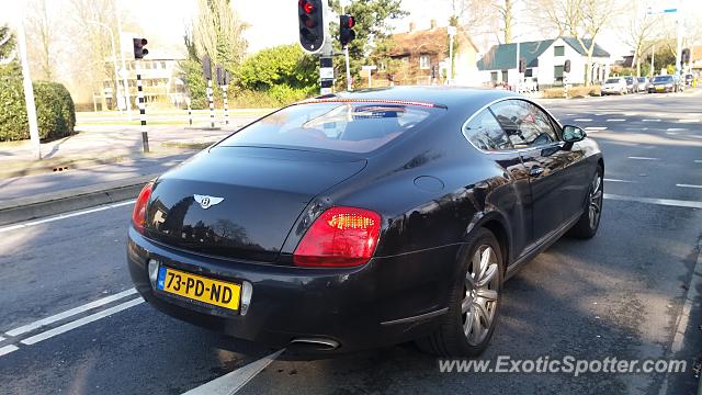 Bentley Continental spotted in Doetinchem, Netherlands