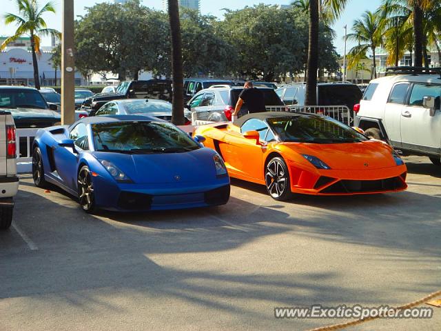 Lamborghini Gallardo spotted in Miami, Florida