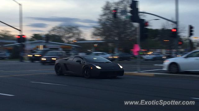Lamborghini Gallardo spotted in San Jose, California