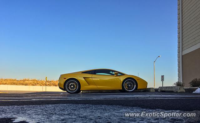 Lamborghini Gallardo spotted in Avon-by-the-Sea, New Jersey
