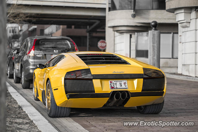Lamborghini Murcielago spotted in Arlington, Virginia