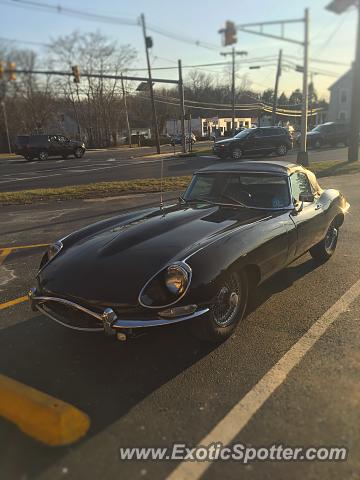 Jaguar E-Type spotted in Eastampton, New Jersey