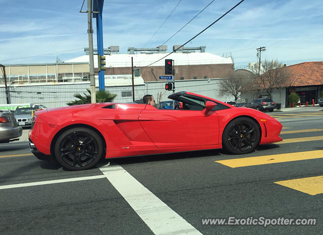 Lamborghini Gallardo spotted in Beverly Hills, California